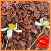 Hạt dưa rang củi bếp nhà loại 1 hạt to chắc, ăn vặt Tết ngon 500g HTC Foods 6