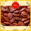 Hạt dưa rang củi bếp nhà loại 1 hạt to chắc, ăn vặt Tết ngon 500g HTC Foods 8