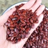 Hạt Dưa Rang Cùi Giòn Rụm Thơm Lừng Hương Vị Tết - Hạnh Phúc Đà Lạt 104k 4
