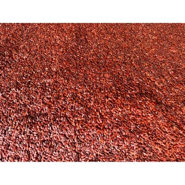 Hạt dưa rang củi Kim Phát 500gr túi zip - Siêu giòn, giảm giá Tết 2.026 108k