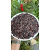 Hạt dưa rang củi Quảng Ngãi 500gr Giòn tan vị thơm tự nhiên giá chỉ 170k