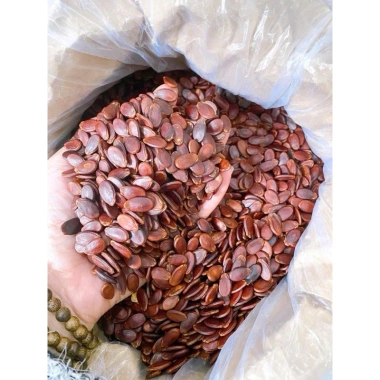 Hạt dưa rang củi Quảng Ngãi 500gr Giòn tan vị thơm tự nhiên giá chỉ 170k