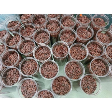 Hạt dưa rang củi Quảng Ngãi 500gr Giòn tan vị thơm tự nhiên giá chỉ 170k 4 Hạt dưa rang củi Quảng Ngãi 500gr Giòn tan vị thơm tự nhiên giá chỉ 170k 4