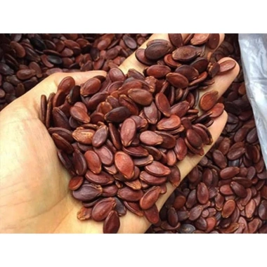 Hạt Dưa Rang Củi Thơm Ngon 1kg - Không Chất Tạo Màu, Không Bảo Quản, Giá 115k 5 Hạt Dưa Rang Củi Thơm Ngon 1kg - Không Chất Tạo Màu, Không Bảo Quản, Giá 115k 5