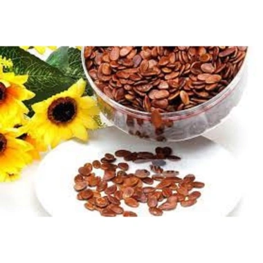 Hạt Dưa Size Trung 1kg - Giá Gốc 230.910, Giảm còn 179.000 - Giòn tan, dinh dưỡng, snack ngon 3 Hạt Dưa Size Trung 1kg - Giá Gốc 230.910, Giảm còn 179.000 - Giòn tan, dinh dưỡng, snack ngon 3