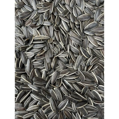 Hạt dưa Tết mix 3 vị 500g Hạt Dưa, Hướng Dương, Hạt Bí Trắng giá ưu đãi 120.000 VND