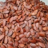 Hạt Dưa Tết Rang Củi Gia Long Loại 1 Không Nhuộm Màu Túi 500g - Giá 129k 2