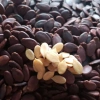 Hạt dưa Thái Sơn rang mộc 1Kg - Túi zip đỏ, vị nguyên bản, giá chỉ 225.000₫ 6