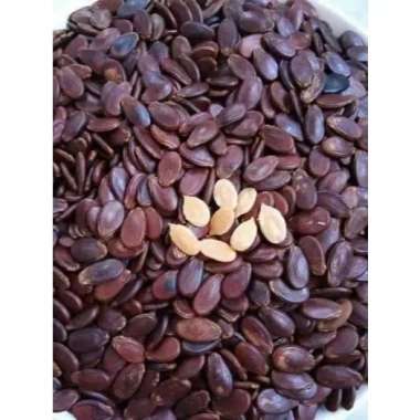Hạt dưa truyền thống 1kg (2 túi 500g) rang củi thơm ngon - Giá ưu đãi 250.000₫
