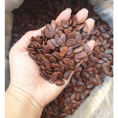 Hạt Dưa Tứ Hưng 500gr Bao bì mới hình dưa hấu 2.025 giảm còn 130.000 VND thơm ngon 2 Hạt Dưa Tứ Hưng 500gr Bao bì mới hình dưa hấu 2.025 giảm còn 130.000 VND thơm ngon 2
