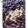 Hạt Dưa Vị Mộc Không Tẩm Màu 100g Onefood68 - Hạt Dưa Hấu Đỏ Rang Củi Béo Giòn, Giá 35.000 VND, Giảm từ 45.500 5