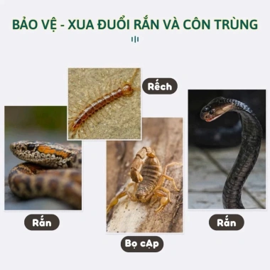 Hạt Đuổi Rắn 500g - Công Thức Khoáng Chất Tự Nhiên, Xua Đuổi Rắn Hiệu Quả, Bảo Vệ Không Gian Số - 111.300₫ 6