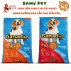 Hạt GANADOR 20KG (50 túi 400g) Vị Gà Quay - Bò Nướng cho Chó Trưởng Thành, Giá 232.000 VND