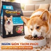 Hạt GANADOR Vị Cừu Hoả Tốc 21H 2.7Kg – Dinh dưỡng cho chó nhỏ trưởng thành, bảo vệ tiêu hoá 2