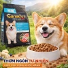 Hạt GANADOR Vị Cừu Hoả Tốc 21H 2.7Kg – Dinh dưỡng cho chó nhỏ trưởng thành, bảo vệ tiêu hoá 3