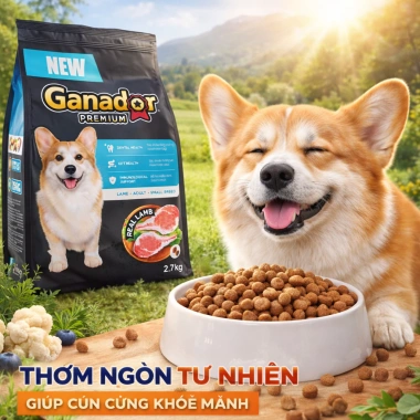 Hạt GANADOR Vị Cừu Hoả Tốc 21H 2.7Kg – Dinh dưỡng cho chó nhỏ trưởng thành, bảo vệ tiêu hoá