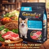 Hạt GANADOR Vị Cừu Hoả Tốc 21H 2.7Kg – Dinh dưỡng cho chó nhỏ trưởng thành, bảo vệ tiêu hoá 4