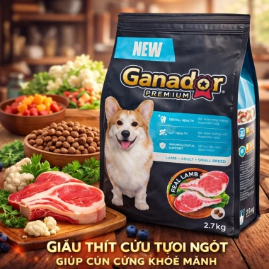 Hạt GANADOR Vị Cừu Hoả Tốc 21H 2.7Kg – Dinh dưỡng cho chó nhỏ trưởng thành, bảo vệ tiêu hoá 4 Hạt GANADOR Vị Cừu Hoả Tốc 21H 2.7Kg – Dinh dưỡng cho chó nhỏ trưởng thành, bảo vệ tiêu hoá 4