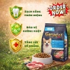 Hạt GANADOR Vị Cừu Hoả Tốc 21H 2.7Kg – Dinh dưỡng cho chó nhỏ trưởng thành, bảo vệ tiêu hoá 5
