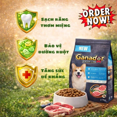 Hạt GANADOR Vị Cừu Hoả Tốc 21H 2.7Kg – Dinh dưỡng cho chó nhỏ trưởng thành, bảo vệ tiêu hoá