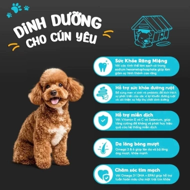 Hạt GANADOR Vị Cừu Hoả Tốc 21H 2.7Kg – Dinh dưỡng cho chó nhỏ trưởng thành, bảo vệ tiêu hoá