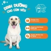 Hạt GANADOR Vị Gà Bao Xá 10KG - Thức ăn cho chó trưởng thành, giảm giá 459.000₫ 7