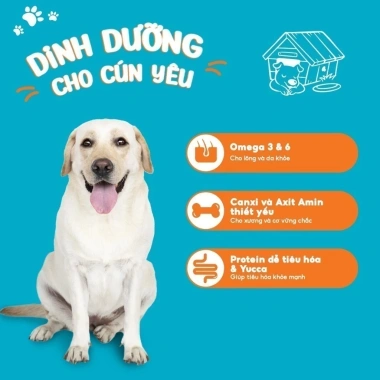 Hạt GANADOR Vị Gà Nướng 3‑10Kg – Hoả Tốc 21H, Dinh Dưỡng Chó Trưởng Thành, Giá 158.000₫