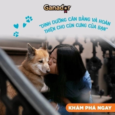 Hạt GANADOR Vị Gà Nướng 3‑10Kg – Hoả Tốc 21H, Dinh Dưỡng Chó Trưởng Thành, Giá 158.000₫