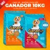 Hạt GANADOR Vị Gà Nướng 3‑10Kg – Hoả Tốc 21H, Dinh Dưỡng Chó Trưởng Thành, Giá 158.000₫ 10