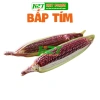 Hạt giống Bắp Ngô Tím Chidida nhập khẩu, giống ngô ngọt siêu dẻo, thơm ngon, màu sắc bắt mắt, giá ưu đãi 11.760₫