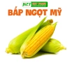 Hạt giống Bắp Ngô Tím Chidida nhập khẩu, giống ngô ngọt siêu dẻo, thơm ngon, màu sắc bắt mắt, giá ưu đãi 11.760₫ 3