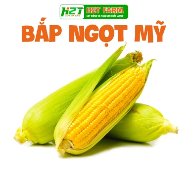 Hạt giống Bắp Ngô Tím Chidida nhập khẩu, giống ngô ngọt siêu dẻo, thơm ngon, màu sắc bắt mắt, giá ưu đãi 11.760₫ 3 Hạt giống Bắp Ngô Tím Chidida nhập khẩu, giống ngô ngọt siêu dẻo, thơm ngon, màu sắc bắt mắt, giá ưu đãi 11.760₫ 3