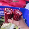 Hạt giống Bắp Ngô Tím Chidida nhập khẩu, giống ngô ngọt siêu dẻo, thơm ngon, màu sắc bắt mắt, giá ưu đãi 11.760₫ 4