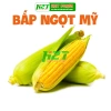 Hạt giống bắp ngọt Mỹ - Năng suất cao, vị ngọt tự nhiên, giảm 19.000đ tại thegioihatgiong