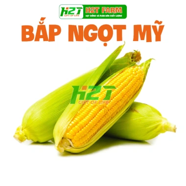 Hạt giống bắp ngọt Mỹ - Năng suất cao, vị ngọt tự nhiên, giảm 19.000đ tại thegioihatgiong