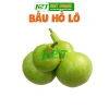 Hạt Giống Bầu Hồ Lô Năng Suất Cao - hatgiongnhapkhau - Giá 14.000đ, Tiết Kiệm, Năng Lượng Tối Đa