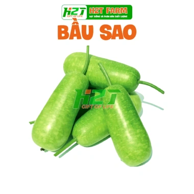 Hạt giống Bầu Sao Ấn Độ Dài - Giá chỉ 15.000 đồng, chất lượng cao | thegioihatgiong
