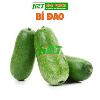 Hạt giống Bí Đao Chanh nhập khẩu hatgiongnhapkhau - Giá 15.000đ, chất lượng cao
