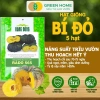 Hạt Giống Bí Đỏ Greenhome 5 Hạt T03 - Dễ Trồng, Nảy Mầm Cao, Thu Hoạch Nhanh, Năng Suất Lớn - Chỉ 13.900 VNĐ