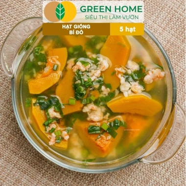 Hạt Giống Bí Đỏ Greenhome 5 Hạt T03 - Dễ Trồng, Nảy Mầm Cao, Thu Hoạch Nhanh, Năng Suất Lớn - Chỉ 13.900 VNĐ 6