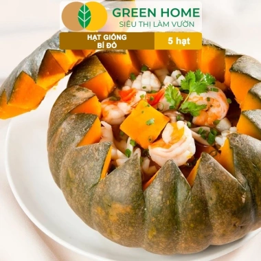 Hạt Giống Bí Đỏ Greenhome 5 Hạt T03 - Dễ Trồng, Nảy Mầm Cao, Thu Hoạch Nhanh, Năng Suất Lớn - Chỉ 13.900 VNĐ 8