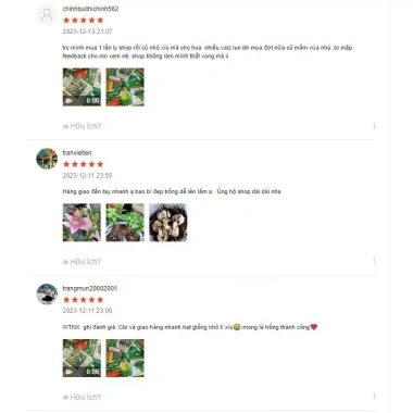 Hạt giống bí đỏ hạt đậu năng suất cao - Giá 9.500đ, trồng nhanh, thu hoạch dày trái 4
