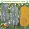 Hạt giống bí đỏ hạt đậu và bí đỏ hồ lô 15 hạt - Tặng phân, giá chỉ 9.600đ 2
