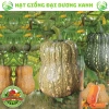 Hạt giống bí đỏ hạt đậu và bí đỏ hồ lô 15 hạt - Tặng phân, giá chỉ 9.600đ 3