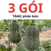 Hạt giống bí đỏ hạt đậu và bí đỏ hồ lô 15 hạt - Tặng phân, giá chỉ 9.600đ 5