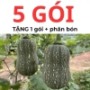Hạt giống bí đỏ hạt đậu và bí đỏ hồ lô 15 hạt - Tặng phân, giá chỉ 9.600đ 6