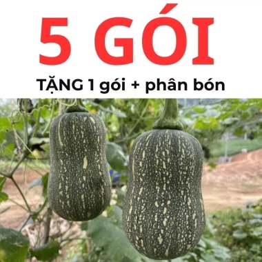 Hạt giống bí đỏ hạt đậu và bí đỏ hồ lô 15 hạt - Tặng phân, giá chỉ 9.600đ 6 Hạt giống bí đỏ hạt đậu và bí đỏ hồ lô 15 hạt - Tặng phân, giá chỉ 9.600đ 6