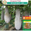Hạt giống Bí Đỏ Mật (Bí Mật Ong) 1g 10 hạt – Hồ Lô thịt nhiều, giá 12.800 VND