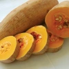 Hạt Giống Bí Đỏ Trái Dài Nga 50H – Siêu Đậu Đậm Đà, Giá Ưu Đãi 9.999₫ 5