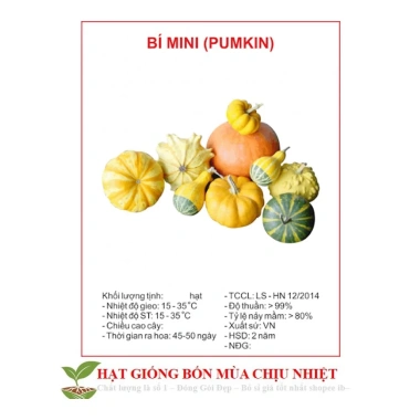 Hạt Giống Bí Mini 10 Hạt - Đến Mùa Trồng Tết, Giá Chỉ 12.500₫, Tiết Kiệm Ngay 3